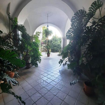 La Casa Delle Camelie Hotell Meta Exteriör bild
